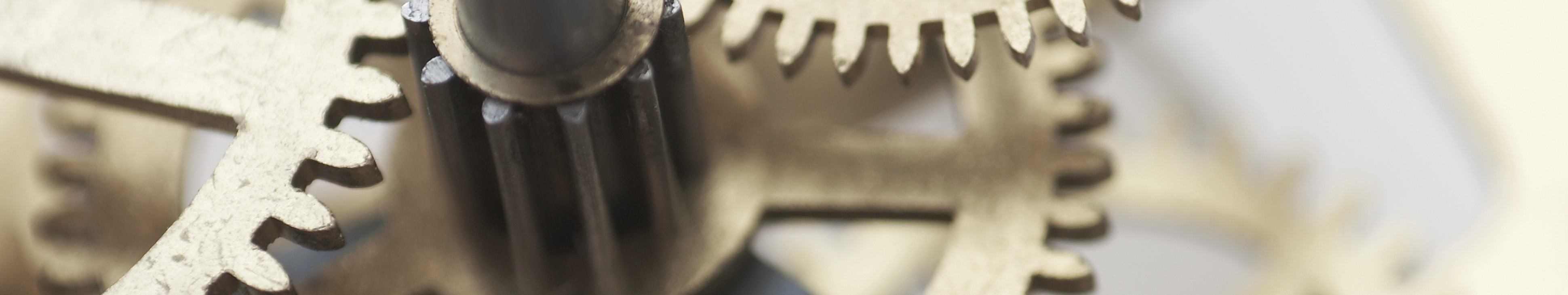 CONSENSIS Teambildung